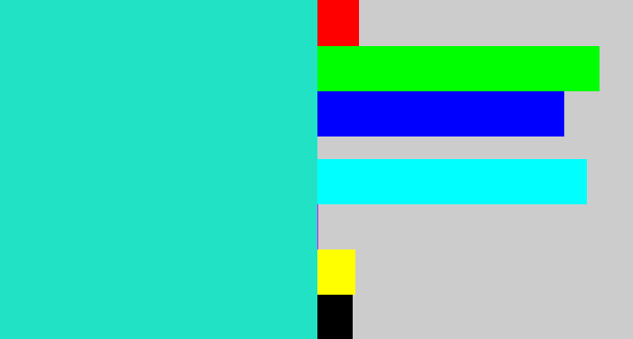 Hex color #22e2c6 - aqua