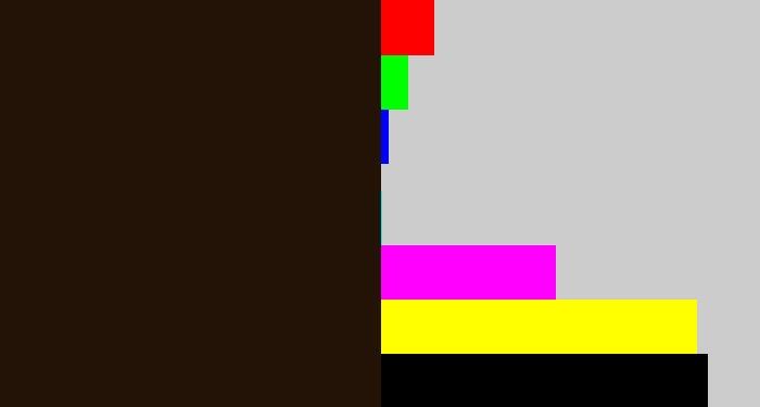 Hex color #231306 - very dark brown