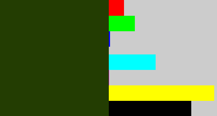 Hex color #233d02 - forrest green