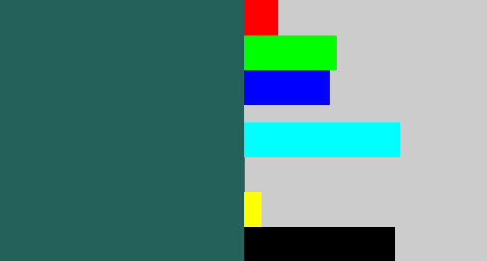Hex color #23615a - dark green blue