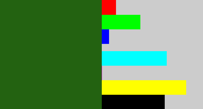 Hex color #236211 - navy green
