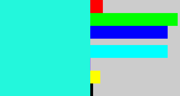 Hex color #23f7dc - bright aqua