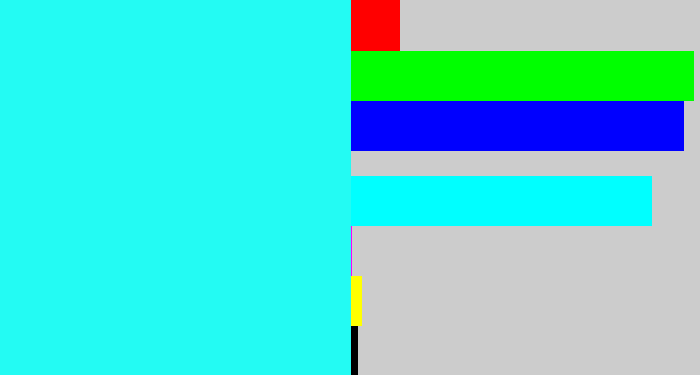 Hex color #23fbf3 - bright light blue