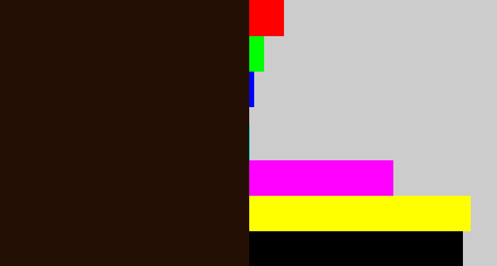 Hex color #240f04 - very dark brown