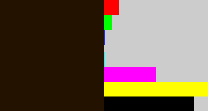 Hex color #241200 - very dark brown