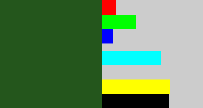 Hex color #24561c - navy green