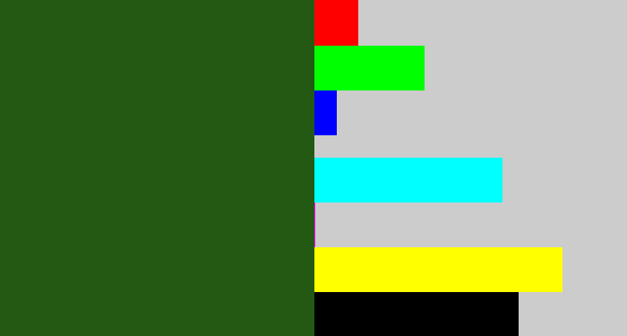 Hex color #245913 - navy green