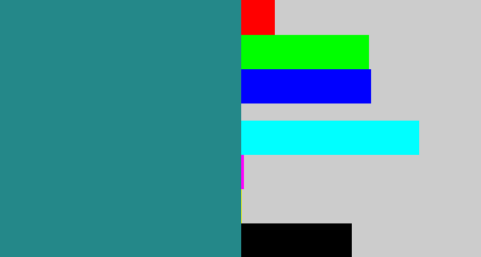 Hex color #248889 - greenish blue