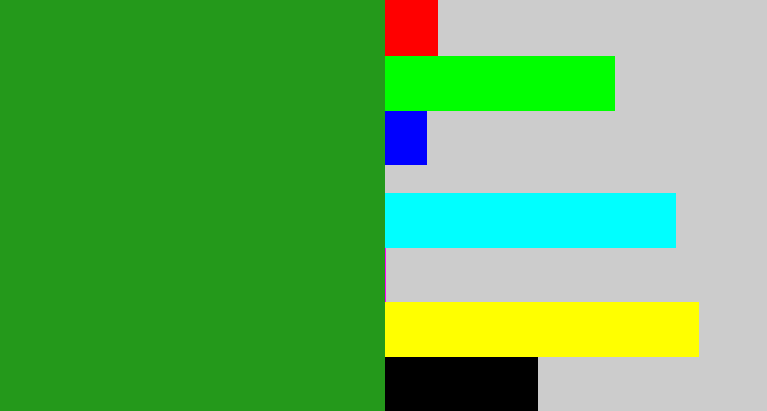 Hex color #24991b - green