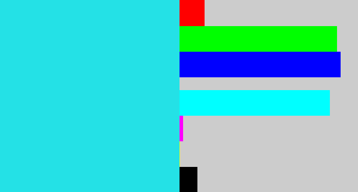 Hex color #24e1e6 - bright light blue
