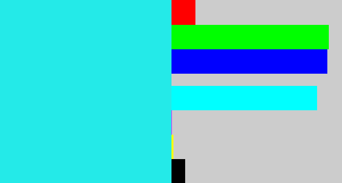 Hex color #24eae8 - bright light blue