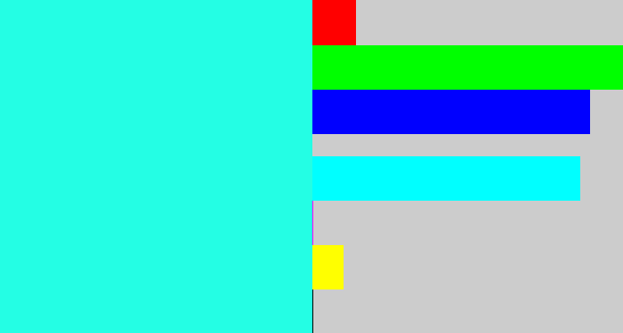 Hex color #24fee4 - bright light blue