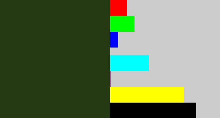Hex color #253913 - forrest green