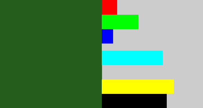 Hex color #255d1b - navy green