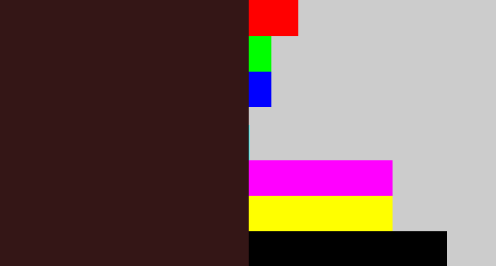 Hex color #341616 - dark brown