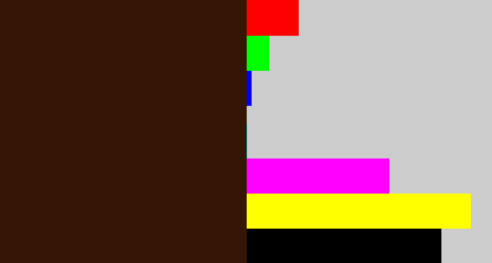 Hex color #351605 - dark brown