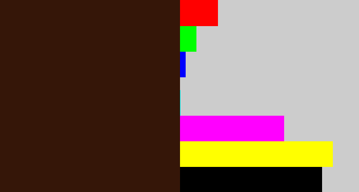Hex color #351608 - dark brown