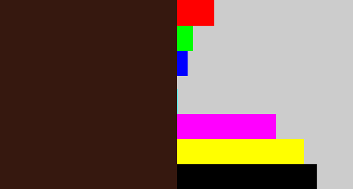 Hex color #36180f - dark brown