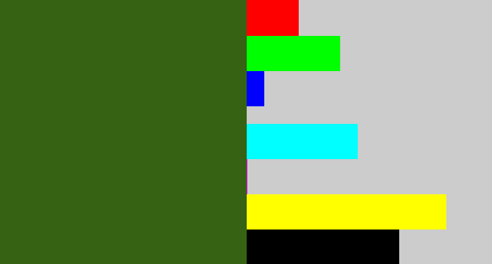 Hex color #366213 - navy green