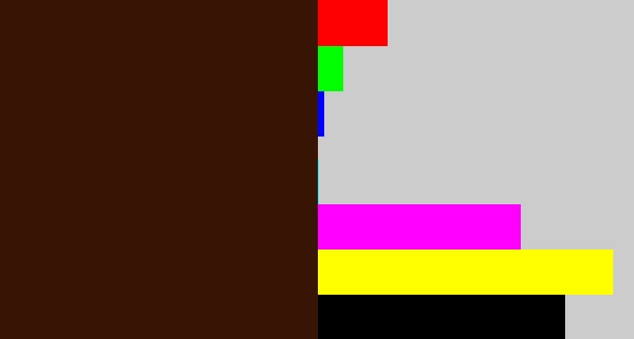 Hex color #371404 - dark brown