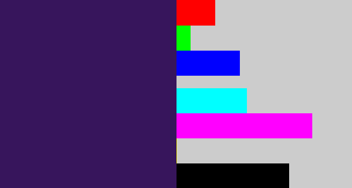 Hex color #37155c - dark indigo