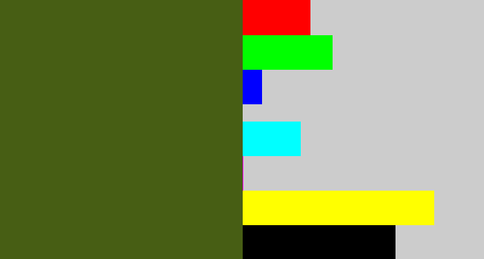 Hex color #475e14 - army green