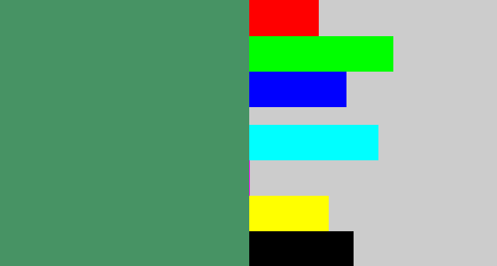 Hex color #479364 - greenish