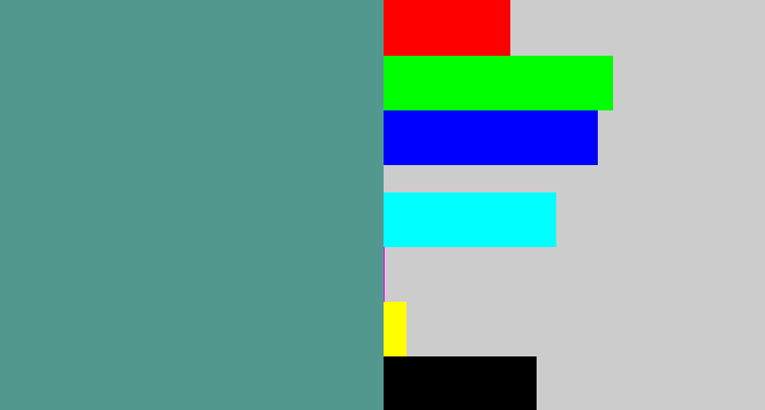 Hex color #53988f - grey teal