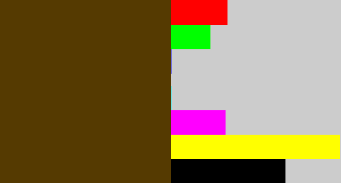 Hex color #553a01 - brown