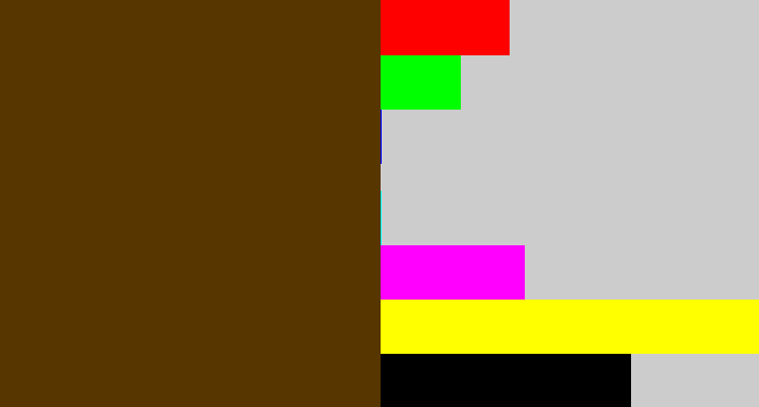 Hex color #573600 - brown