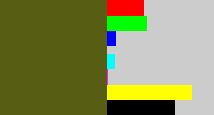 Hex color #575e14 - army green