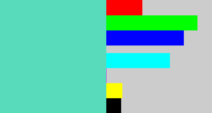 Hex color #57dbbb - light greenish blue