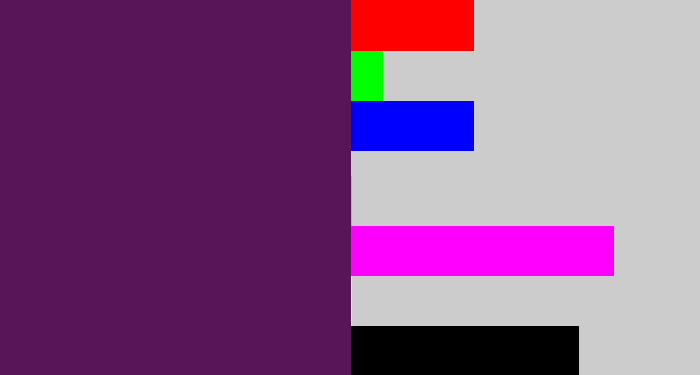 Hex color #581658 - grape purple