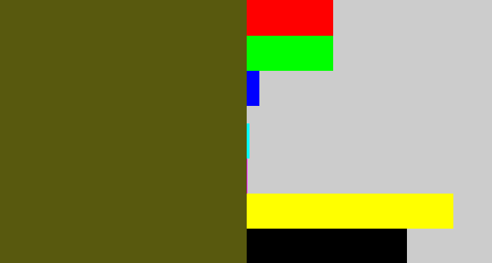 Hex color #58590e - army green