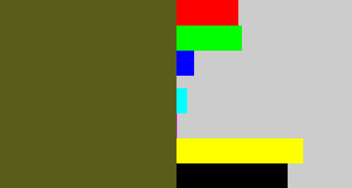 Hex color #585e1a - army green