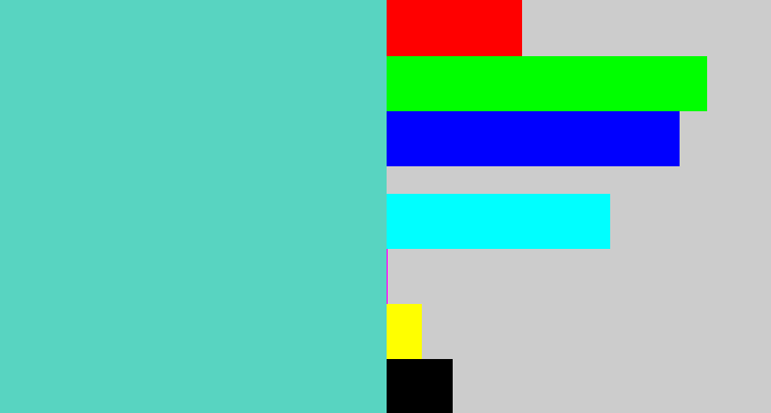 Hex color #58d4c1 - seafoam blue