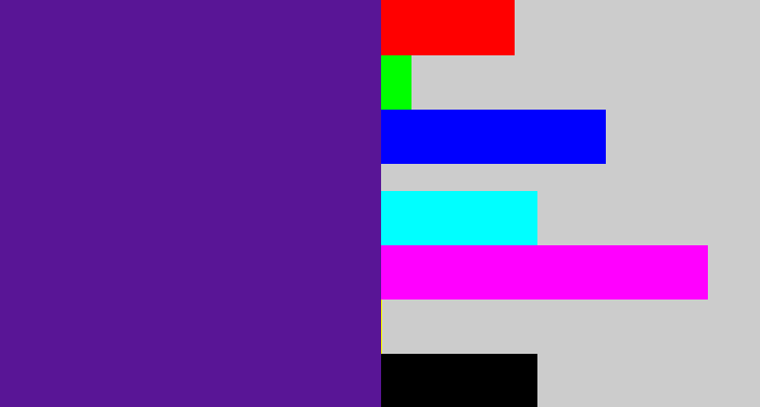Hex color #591596 - purple