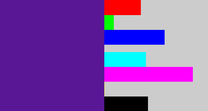 Hex color #591795 - purple