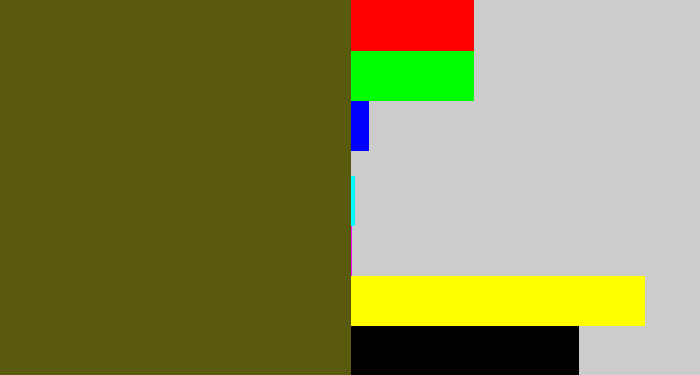 Hex color #595a0e - army green