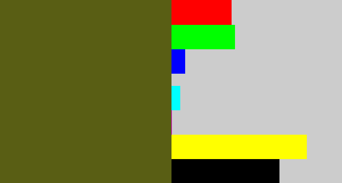 Hex color #595e14 - army green