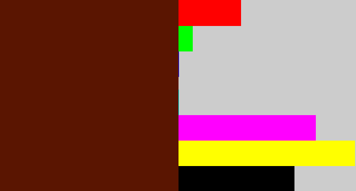 Hex color #5a1501 - reddy brown