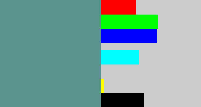Hex color #5a928e - grey teal