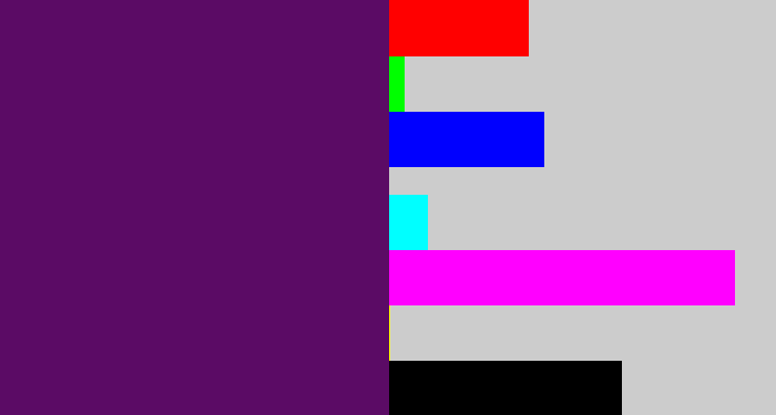 Hex color #5b0b65 - royal purple