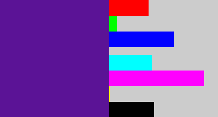 Hex color #5b1396 - purple