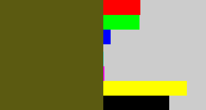 Hex color #5b5a11 - greenish brown