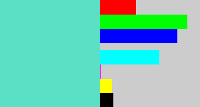 Hex color #5bdfc5 - light greenish blue