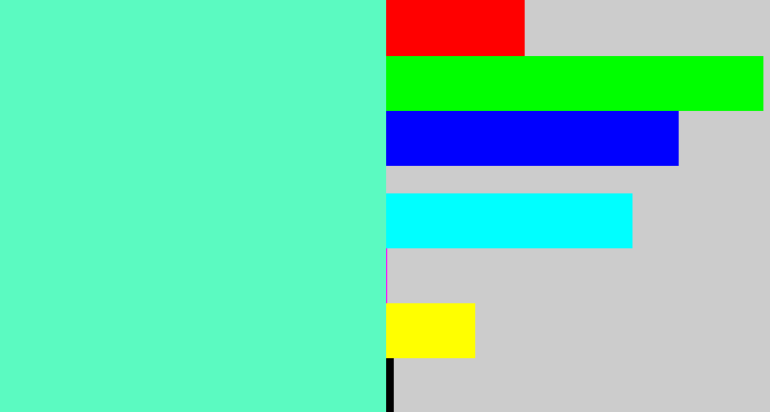 Hex color #5bfac1 - light greenish blue