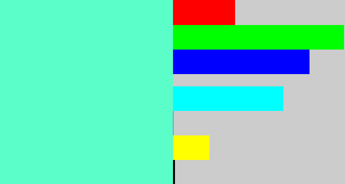 Hex color #5bfdc9 - light greenish blue