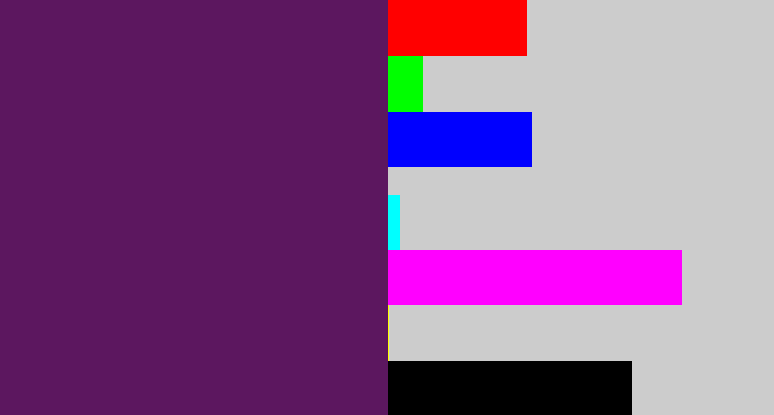 Hex color #5c175f - grape purple