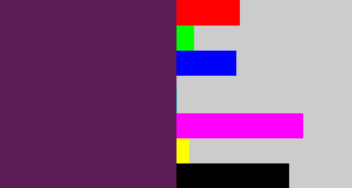Hex color #5c1a56 - grape purple
